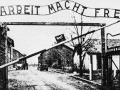 auschwitz