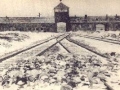 auschwitz01